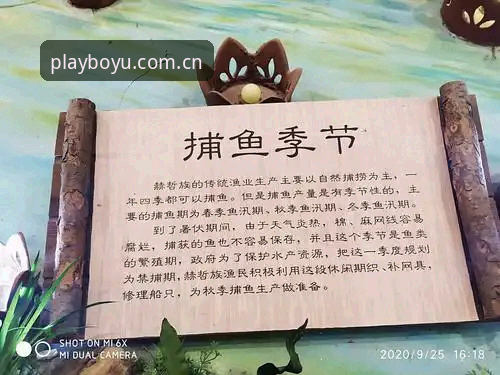 揭秘博鱼操作环境iOS版：技术评测员眼中的真相与对比分析